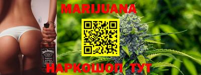 mdpv Ачхой-Мартан