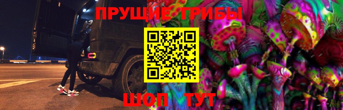Коряжма  Галлюциногенные грибы мухоморы  Вход с VPN  Галлюциногенные грибы GOLDEN TEACHER 
